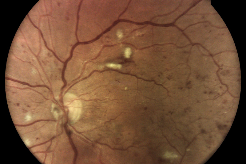 Pre lekárov 0 / Ako to funguje - foto  Pre lekárov 0 / Ako to funguje - foto