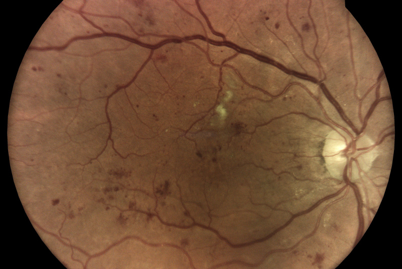 Pre lekárov 0 / Ako to funguje - foto  Pre lekárov 0 / Ako to funguje - foto